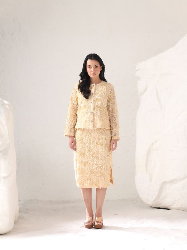 Zinia Sequins Skirt Set