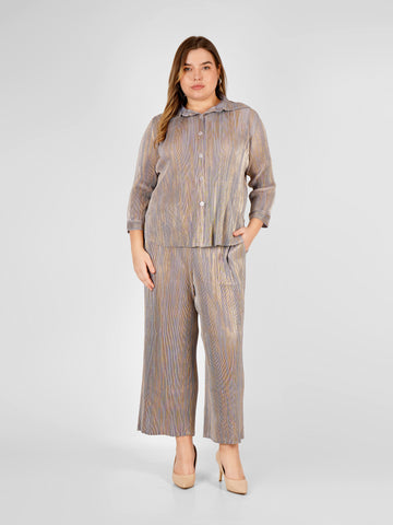 Elen Metallic Pleated Co-ord Set